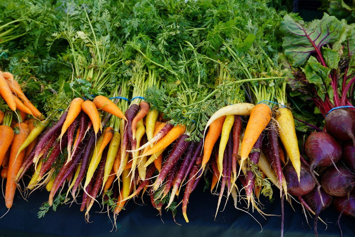Bottes de carottes orange, jaunes et violettes à côté de betteraves