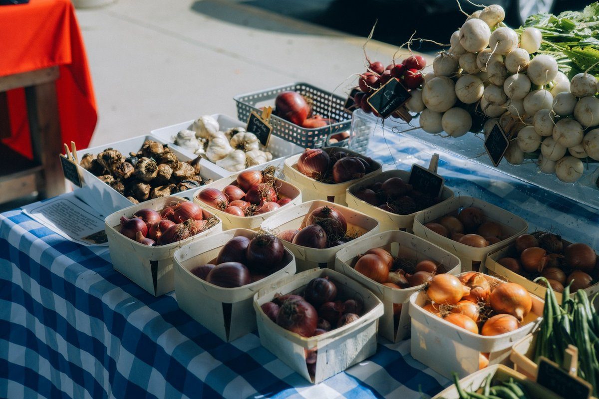 Barquettes de pommes de terre, d'oignons et de légumes sur une nappe à carreaux bleus