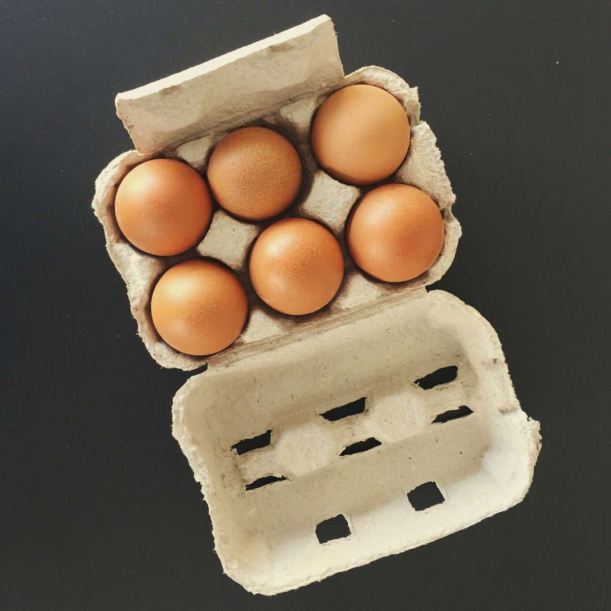 Boîte de six œufs en carton ouverte sur fond noir
